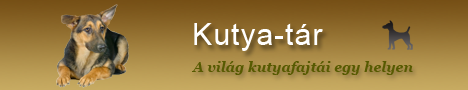 Kutya-tár - A világ kutyafajtái egy helyen