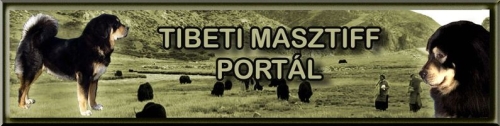 Tibeti Masztiff Portál